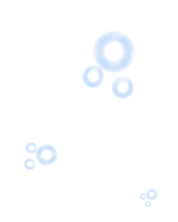 CLL Image