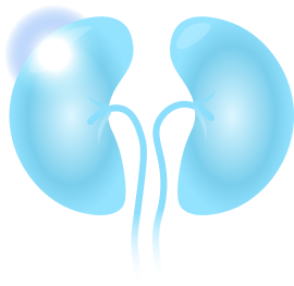 CKD Image