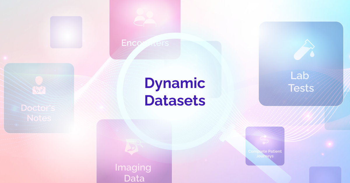 New Potential with Dynamic Datasets - Blog Image