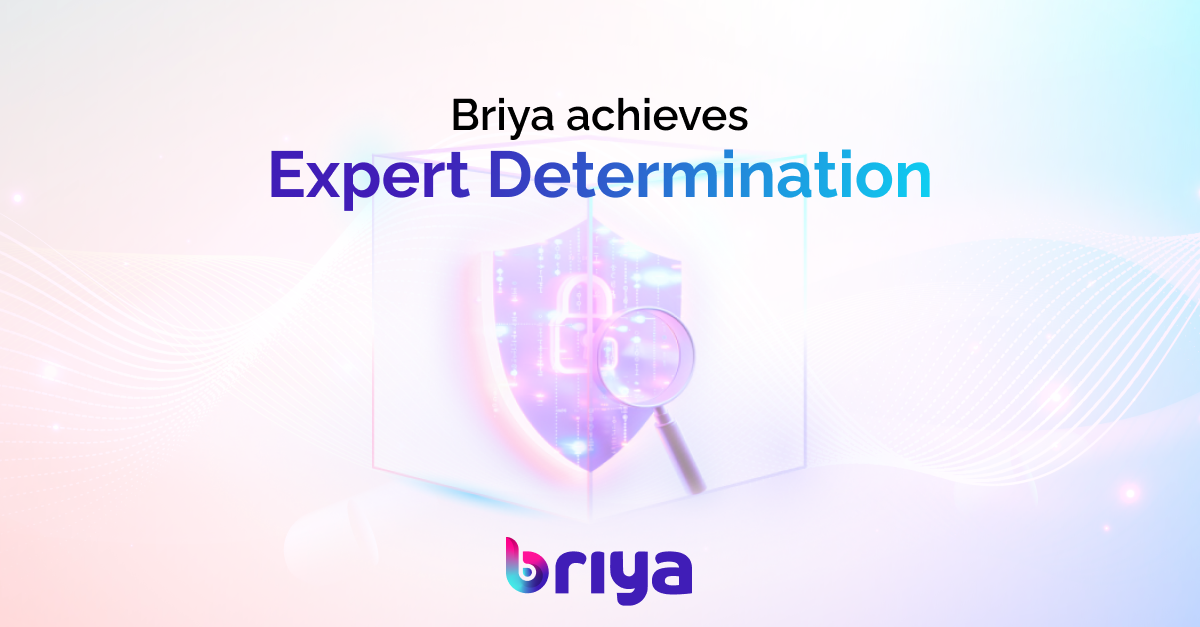 Expert Determination Blog Image