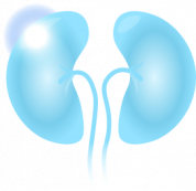 CKD Image